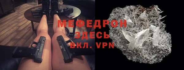 индика Аркадак
