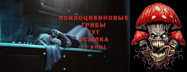 героин Михайлов