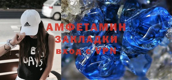индика Аркадак